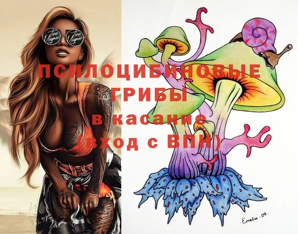 спайс Алексин
