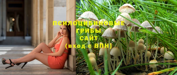 спайс Алексин